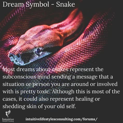  Snakes: An Influential Symbol in Dreams
