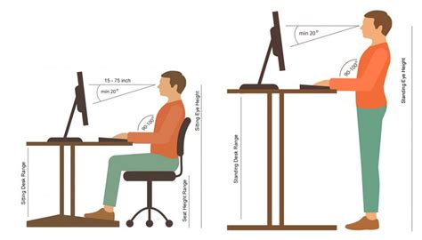  Standing Tall: Height Details 