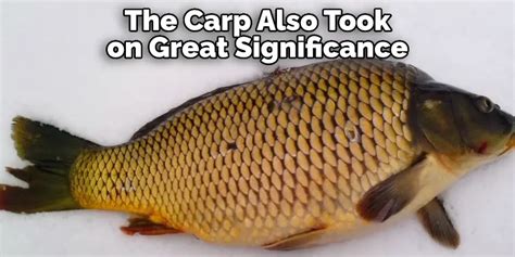  Symbolic Significance of Ivory Colored Carp in One's Dream 