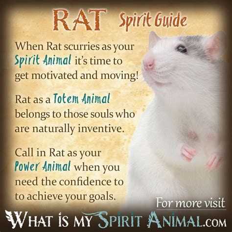  Symbolism and Interpretations of Rat Dreams 