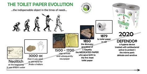  The Evolution of Toilet Paper and Its Symbolic Significance in History
