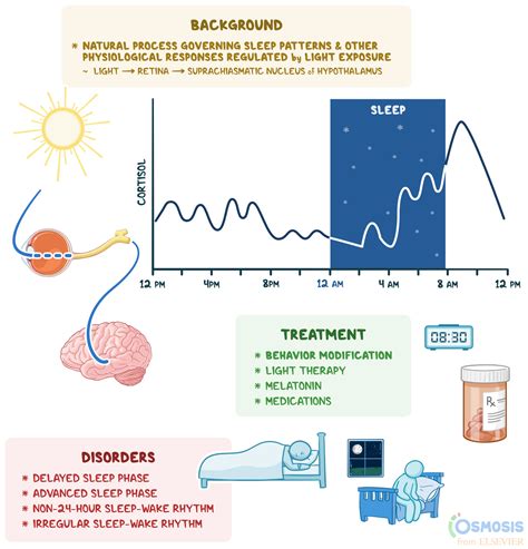  The Influence of Sexual Discontent on Sleep Patterns 