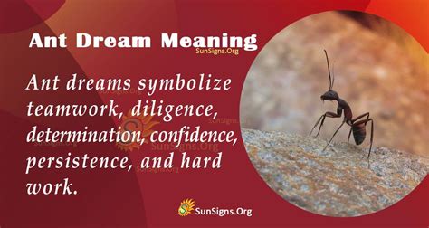  The Resilience and Tenacity Symbolized by Ants in Dream Imagery 