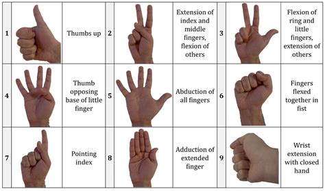  The Significance of Hands in Psychological Interpretation 