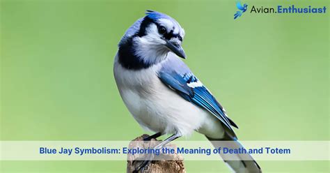  The Symbolic Connection Between Water and Death: Unveiling Deeper Meanings 