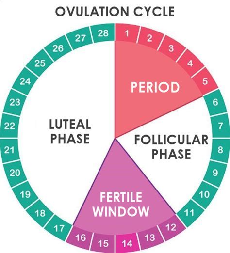  Unconscious Associations: Analyzing the Connection between Menstruation and Emotional States in Dreams 