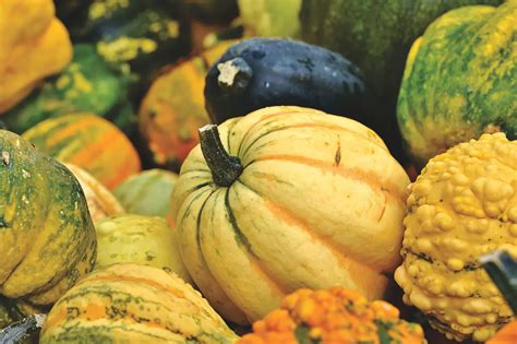  Understanding the Psychological Significance of Pumpkin Harvest Dreams 