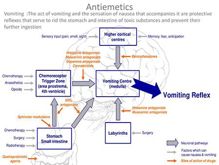  Unearthing the Symbolism: Decoding the Significance of Emesis Upon Another Individual 