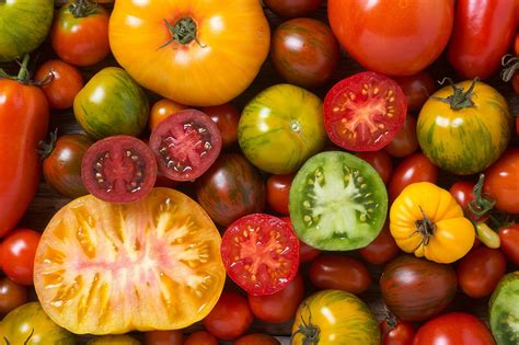  Unleashing the Flavor: Choosing the Perfect Tomatoes 