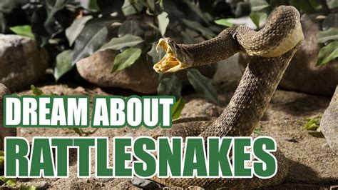  Unlocking the Significance of Rattlesnakes in Dreamscapes 