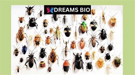  Unraveling the Significance of Enchantingly Hued Insects in Dreams 