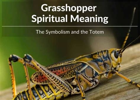  Unraveling the Significance of Grasshoppers in Dream Interpretation 