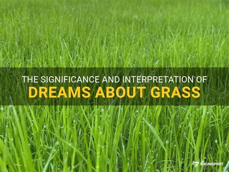  Unveiling the Emotional Significance behind Grass-Watering Dreams