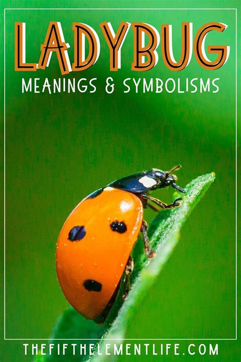  Unveiling the Ladybug: Symbolism and Cultural Significance 