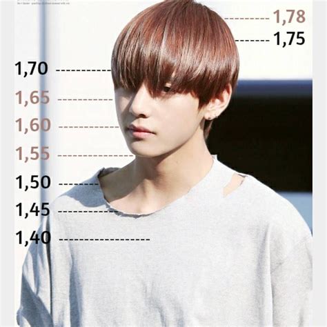  V's Stature 