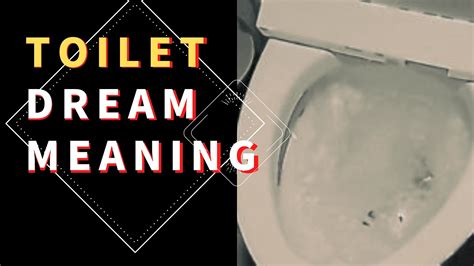  Valuable Suggestions for Analyzing and Decoding Disturbing Toilet Dreams 