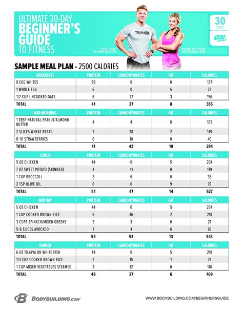  Workout Regimen and Nutrition Plan of the Fitness Enthusiast 