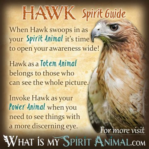 A Captivating Dream Symbol: Hawks and Their Significance