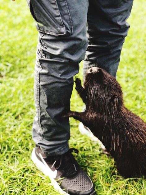 A Close Encounter with Curious Trunks and Tiny Feet