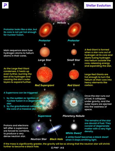 A Closer Glimpse into the Ascending Star's Life Story