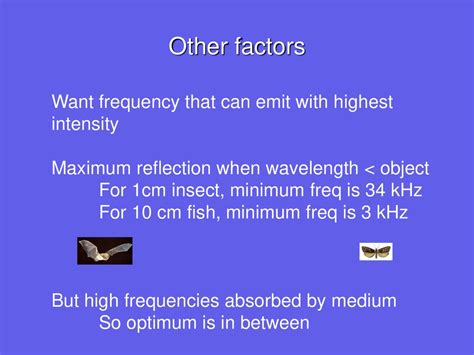 A Closer Look: Analyzing the Frequency and Intensity of Insect Reveries