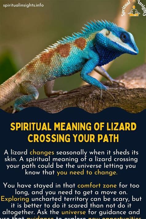 A Closer Look at Cultural Beliefs: Lizard Symbolism in Different Traditions