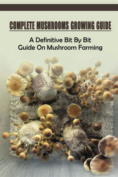 A Complete Guide for Mushroom Enthusiasts