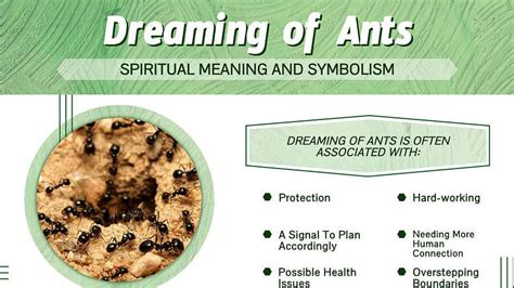 A Deeper Exploration into Dreaming about Ants