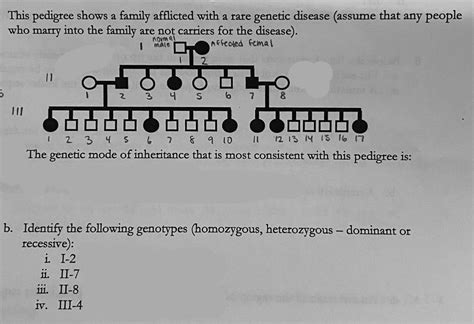 A Family Afflicted with Enigma