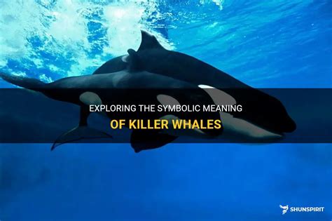 A Glimpse into the Afterlife: Exploring the Symbolism of a Deceased Killer Whale