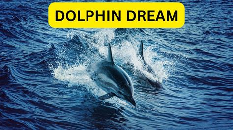 A Glimpse into the Collective Unconscious: Symbolism in Dolphin Dreams