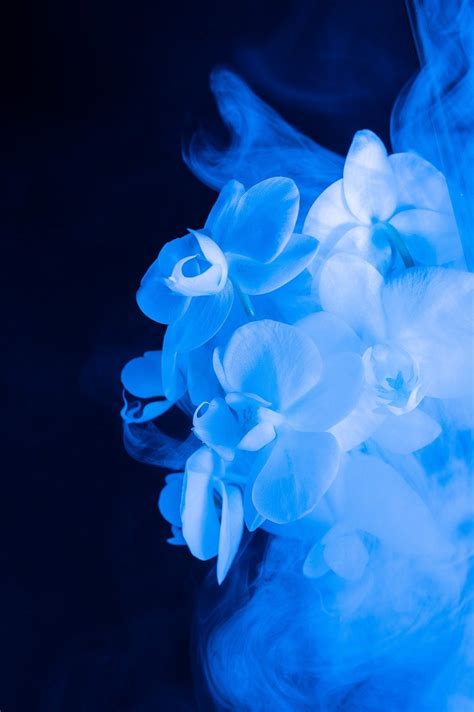 A Glimpse into the Unconscious: Decoding the Veiled Messages of Crystal Smoking Dreams