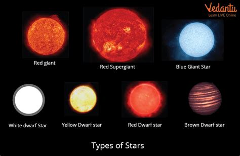 A Guide to Various Types of Stars