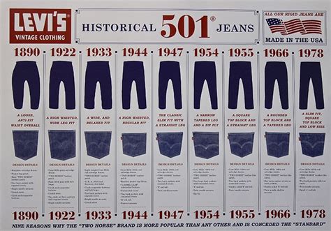 A Journey Through Time: The Evolution of Denim Pairs