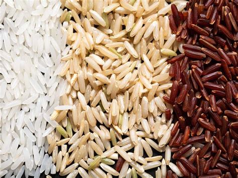 A Journey Through the Varieties: Exploring Different Types of Glutinous Rice