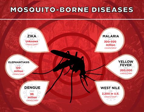 A Lethal Bite: Mosquitoes as Carriers of Diseases