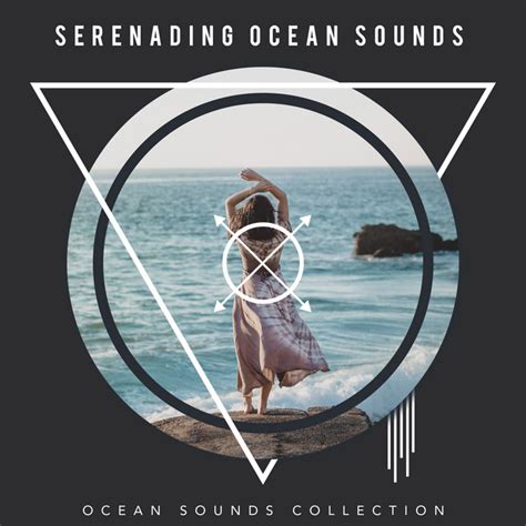 A Melody for the Senses: Serenading Sounds of the Nocturnal Ocean