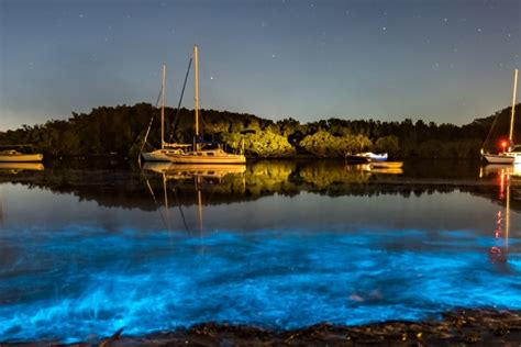 A Nighttime Spectacle: Popular Bioluminescent Destinations