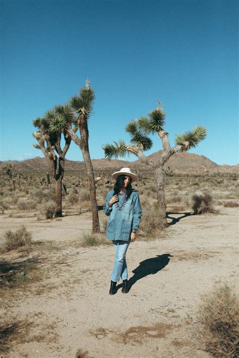 A Paradise for Photographers: Capturing the Breathtaking Elegance of Joshua Trees