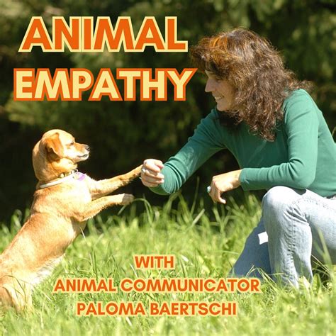 A Pathway to Discovering Empathy: Nurturing the Bond with Marginalized Canine Companions