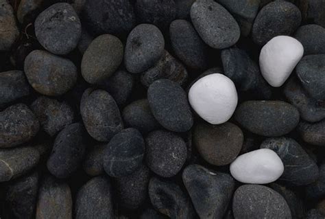 A Peculiar Yet Widespread Dream: Consumption of Pebbles