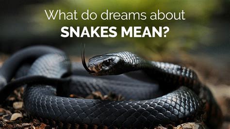 A Psychological Perspective on Dreams Involving Fatal Snake Bites