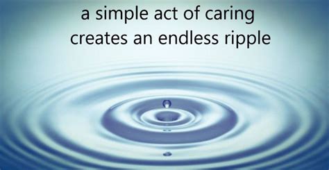 A Ripple Effect: How One Act of Kindness Can Inspire Others to Contribute