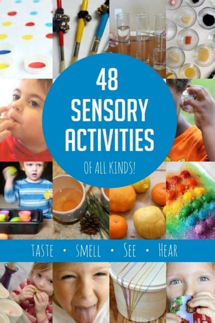 A Sensory Journey: Exploring the Sights, Sounds, and Scents