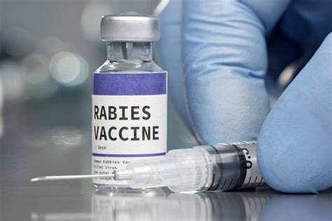 A Shot of Hope: The Life-Saving Rabies Vaccine