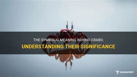 A Surprising Visitor: Exploring the Symbolic Meaning behind a Departed Crab