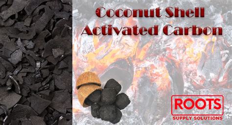 A Sustainable Solution: The Power of Coconut Shell Activated Carbon