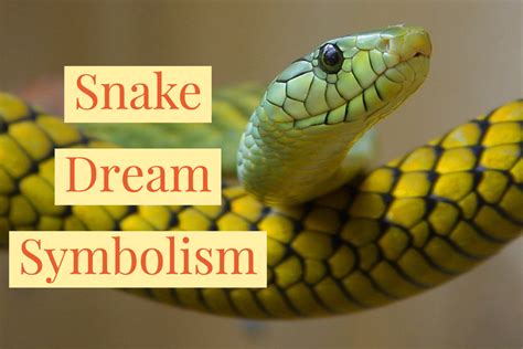 A Symbolic Analysis of Serpent Dream Imagery