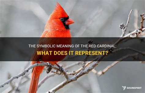 A Symbolic Interpretation: The Majestic Red Cardinal