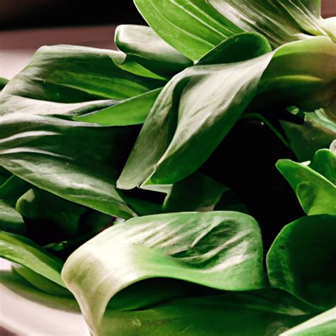 A Symphony of Tastes: Exploring the Culinary Wonders of Leafy Greens